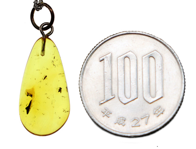 光があたるとレモンイエローを呈する!最も古い宝石とも言われる琥珀(Amber)を使ったペンダントトップ(シルバーチェーン、高級ジュエリーケース付き)(その7)
