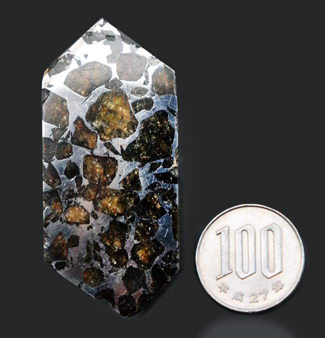 これぞ贅沢！デカい！分厚い！美しい！最厚部１３ミリの分厚く大きな個体！隕石コレクター憧れの、石鉄隕石（パラサイト）、セイムチャン（Seymchan）の塊標本（その10）