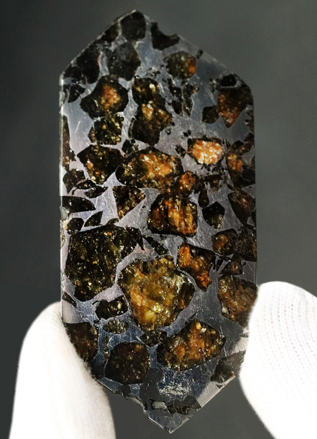 これぞ贅沢！デカい！分厚い！美しい！最厚部１３ミリの分厚く大きな個体！隕石コレクター憧れの、石鉄隕石（パラサイト）、セイムチャン（Seymchan）の塊標本（その2）