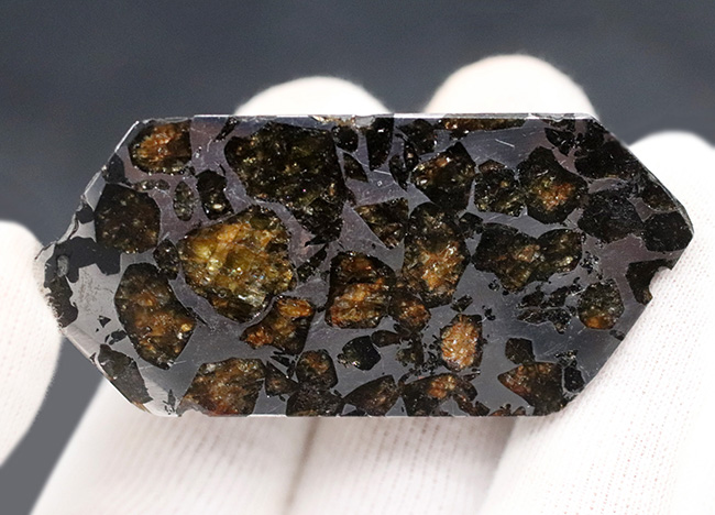 これぞ贅沢！デカい！分厚い！美しい！最厚部１３ミリの分厚く大きな個体！隕石コレクター憧れの、石鉄隕石（パラサイト）、セイムチャン（Seymchan）の塊標本（その3）