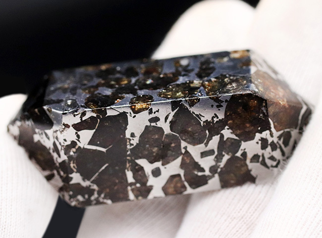 これぞ贅沢！デカい！分厚い！美しい！最厚部１３ミリの分厚く大きな個体！隕石コレクター憧れの、石鉄隕石（パラサイト）、セイムチャン（Seymchan）の塊標本（その4）
