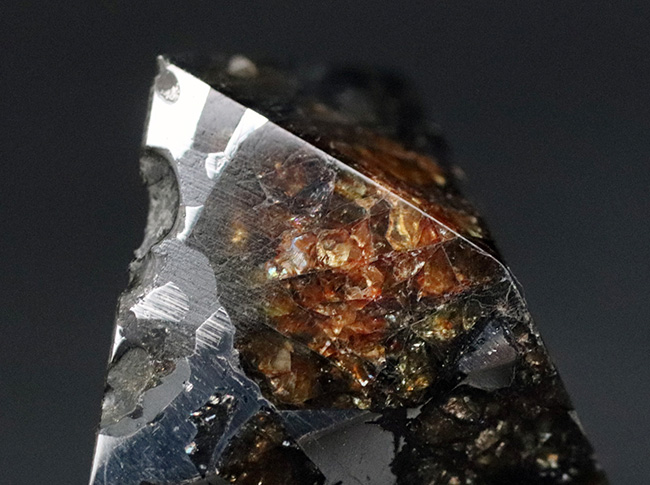 これぞ贅沢！デカい！分厚い！美しい！最厚部１３ミリの分厚く大きな個体！隕石コレクター憧れの、石鉄隕石（パラサイト）、セイムチャン（Seymchan）の塊標本（その5）