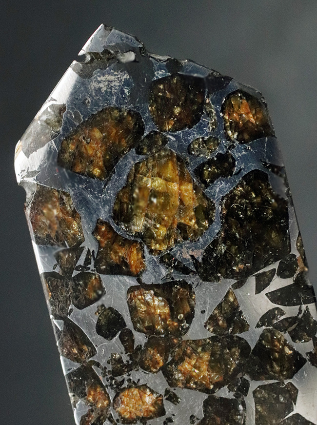 これぞ贅沢！デカい！分厚い！美しい！最厚部１３ミリの分厚く大きな個体！隕石コレクター憧れの、石鉄隕石（パラサイト）、セイムチャン（Seymchan）の塊標本（その7）