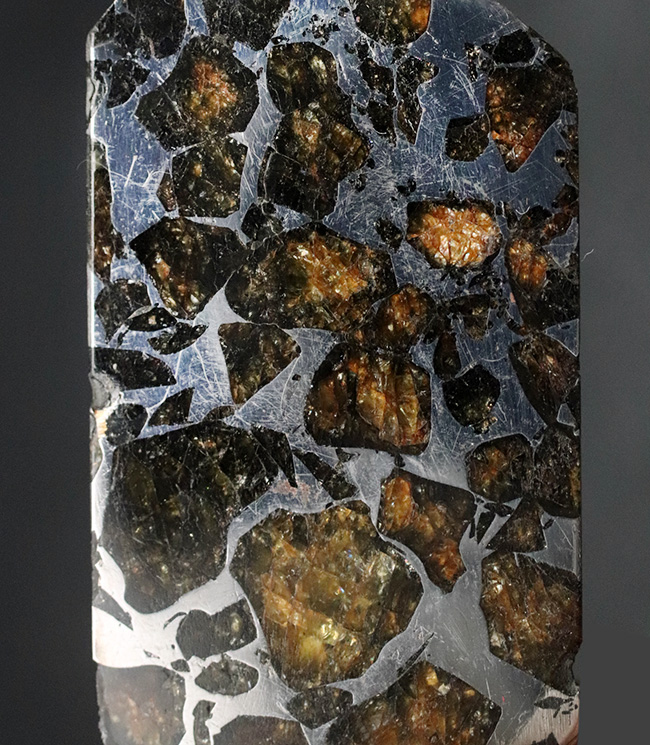 これぞ贅沢！デカい！分厚い！美しい！最厚部１３ミリの分厚く大きな個体！隕石コレクター憧れの、石鉄隕石（パラサイト）、セイムチャン（Seymchan）の塊標本（その8）