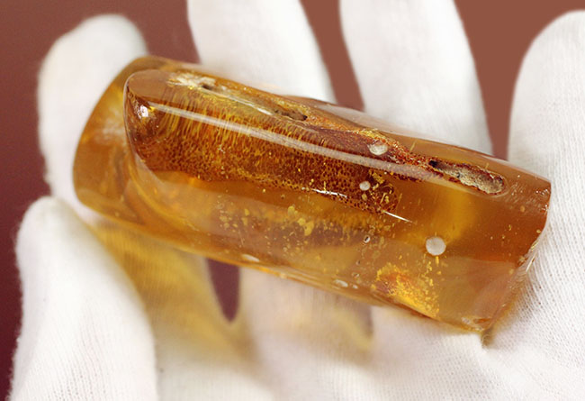 珍しいコロンビア産のコーパル(Copal)。フレッシュで透明度の高い基質に浮かぶ生々しい植物片を御覧ください。(その5)