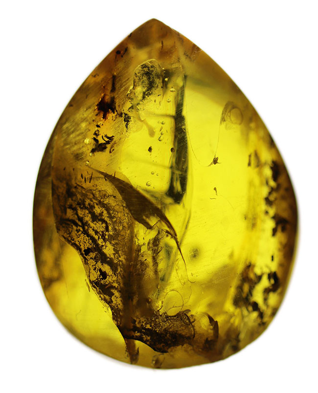 古代の人々を魅了した最初の宝石、厚みがあるのに、透明感があるバルト海産琥珀（Amber）（その1）