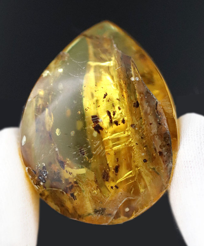 古代の人々を魅了した最初の宝石、厚みがあるのに、透明感があるバルト海産琥珀(Amber)(その2)