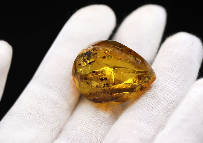 古代の人々を魅了した最初の宝石、厚みがあるのに、透明感があるバルト海産琥珀（Amber）（その3）