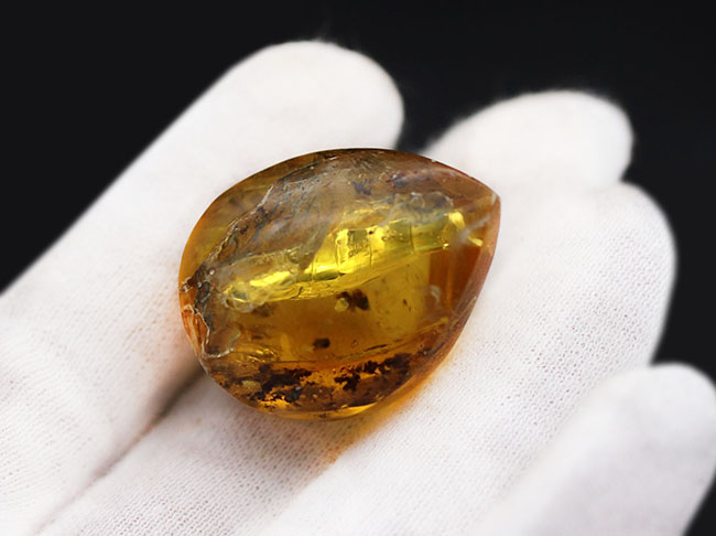 古代の人々を魅了した最初の宝石、厚みがあるのに、透明感があるバルト海産琥珀（Amber）（その4）