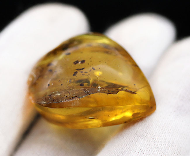 古代の人々を魅了した最初の宝石、厚みがあるのに、透明感があるバルト海産琥珀(Amber)(その5)