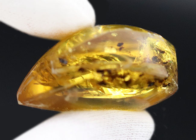 古代の人々を魅了した最初の宝石、厚みがあるのに、透明感があるバルト海産琥珀（Amber）（その6）