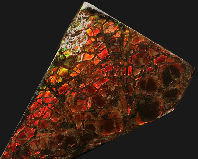 これぞ典型的な遊色、濃く深い赤!生物由来の宝石、アンモライト(Ammolite)のピース(その3)