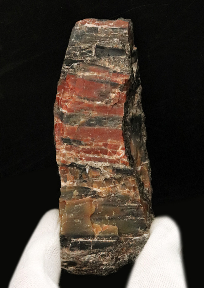 ブランド産地、米国アリゾナ州産の珪化木(Petrified wood)。表面を研磨していない無骨な味わいをお楽しみください!(その1)