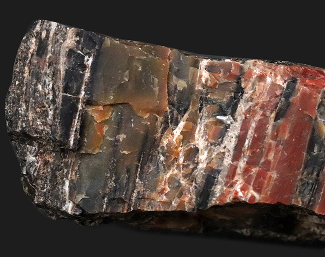 ブランド産地、米国アリゾナ州産の珪化木(Petrified wood)。表面を研磨していない無骨な味わいをお楽しみください!(その2)