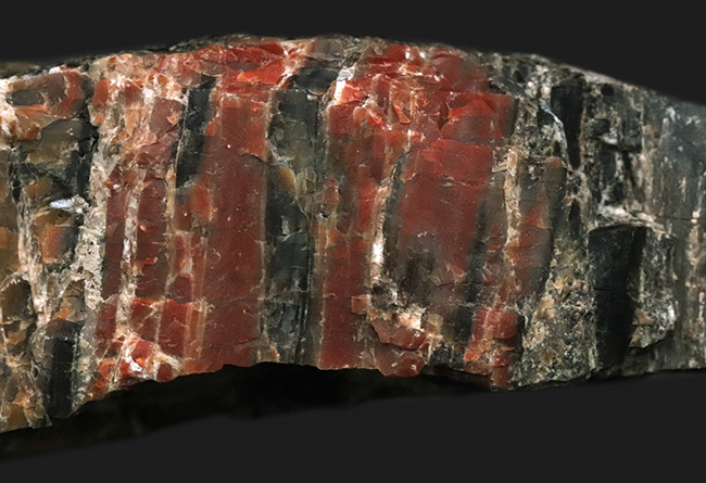 ブランド産地、米国アリゾナ州産の珪化木(Petrified wood)。表面を研磨していない無骨な味わいをお楽しみください!(その3)