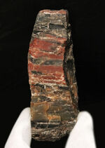 ブランド産地、米国アリゾナ州産の珪化木（Petrified wood）。表面を研磨していない無骨な味わいをお楽しみください！