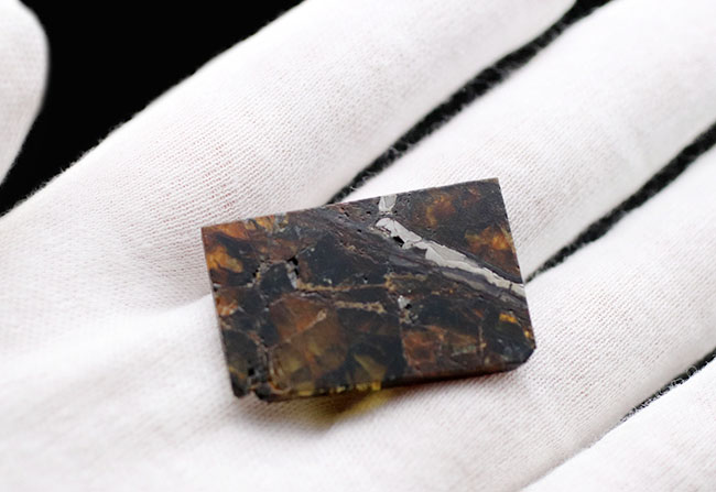 まさに「称賛」すべき美しきパラサイト隕石、米国カンザス州産のアドミア（Admire）。明治１４年に初めて落下が確認（その5）