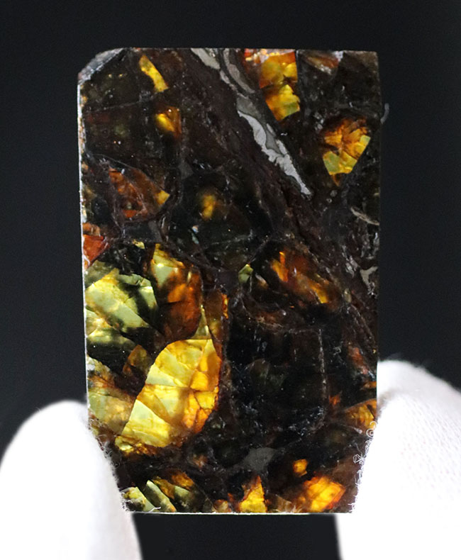 まさに「称賛」すべき美しきパラサイト隕石、米国カンザス州産のアドミア（Admire）。明治１４年に初めて落下が確認（その6）