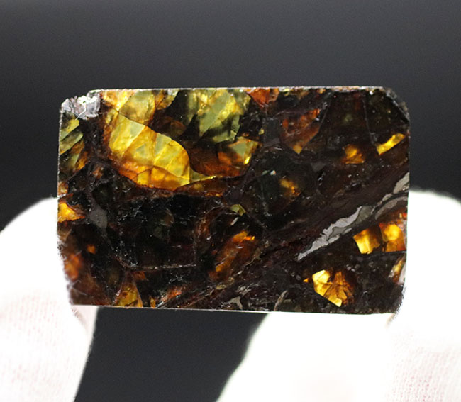 まさに「称賛」すべき美しきパラサイト隕石、米国カンザス州産のアドミア（Admire）。明治１４年に初めて落下が確認（その7）
