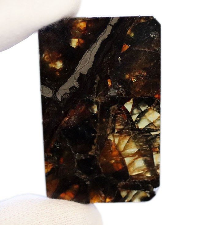 まさに「称賛」すべき美しきパラサイト隕石、米国カンザス州産のアドミア（Admire）。明治１４年に初めて落下が確認（その8）