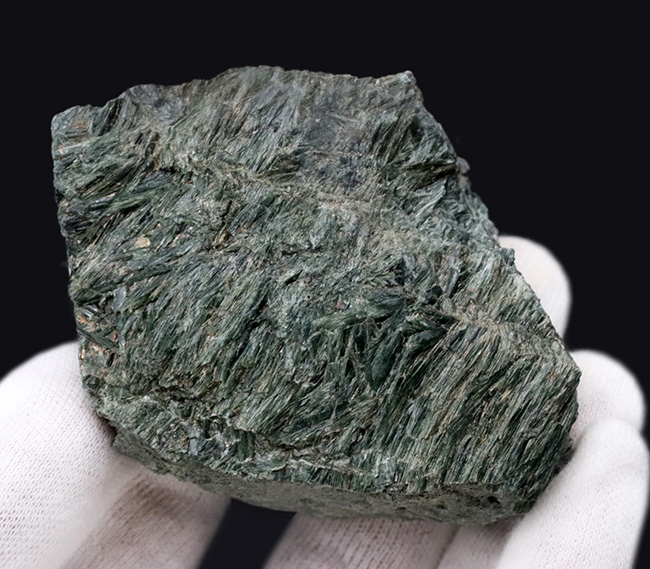 新ひだか町蓬莱山で発見された結晶片岩、陽起石（ようきせき）。光沢のある緑を呈するユニークな石（その2）