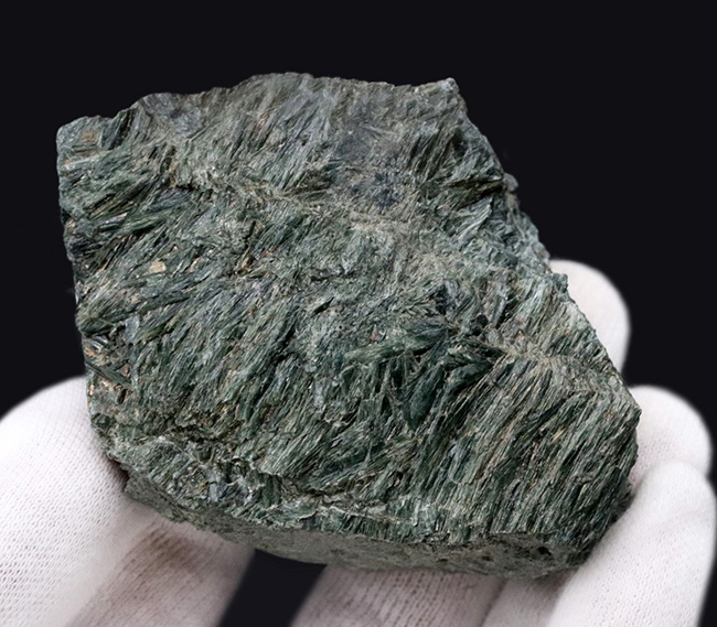 新ひだか町蓬莱山で発見された結晶片岩、陽起石(ようきせき)。光沢のある緑を呈するユニークな石(その2)