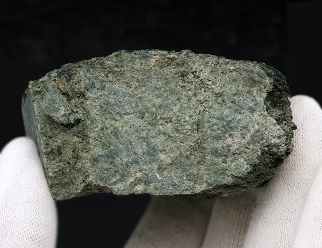 新ひだか町蓬莱山で発見された結晶片岩、陽起石（ようきせき）。光沢のある緑を呈するユニークな石（その4）