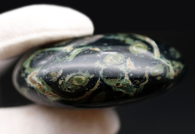 眼のように見える層構造はストロマトライト！クロコダイルジャスパー