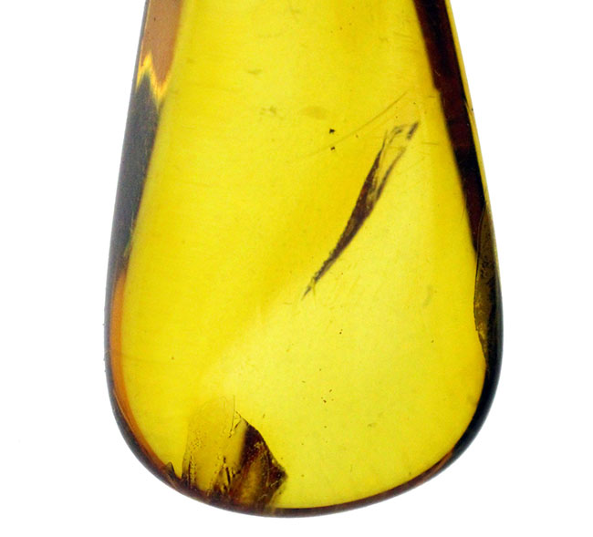 抜群の透明度、レモンイエローを呈するバルト海産のクモ入り琥珀（Amber）を使ったペンダントトップ（シルバーチェーン、革紐、高級ジュエリーケース付）（その4）