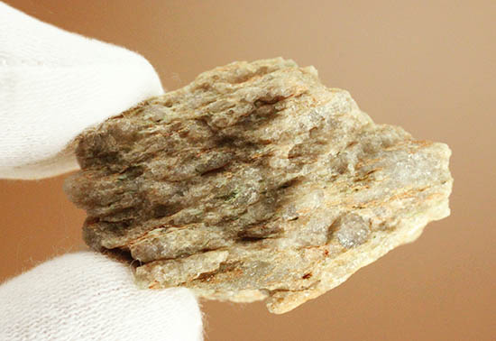 地球最古の岩石シリーズ、44億年前のジルコンを含む花崗片麻岩。（その1）
