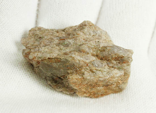 地球最古の岩石シリーズ、44億年前のジルコンを含む花崗片麻岩。（その2）