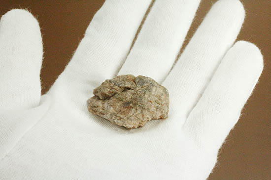 地球最古の岩石シリーズ、44億年前のジルコンを含む花崗片麻岩。（その3）