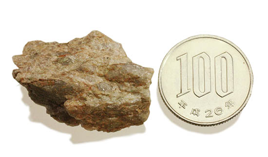 地球最古の岩石シリーズ、44億年前のジルコンを含む花崗片麻岩。（その4）