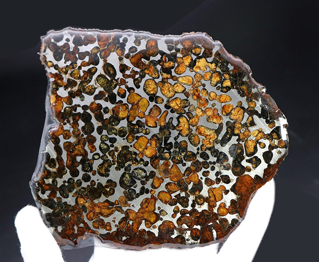 大きい、本体最大部１５センチ！最も美しい隕石の一つ、２０１６年に発見された新しいパラサイト隕石、ケニヤ産パラサイト隕石（本体防錆処理済み）（その3）