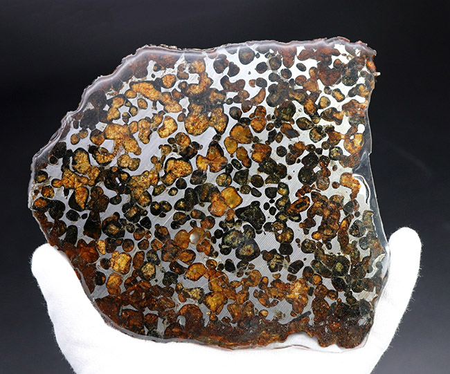 大きい、本体最大部１５センチ！最も美しい隕石の一つ、２０１６年に発見された新しいパラサイト隕石、ケニヤ産パラサイト隕石（本体防錆処理済み）（その4）