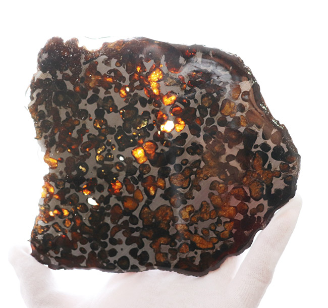 大きい、本体最大部１５センチ！最も美しい隕石の一つ、２０１６年に発見された新しいパラサイト隕石、ケニヤ産パラサイト隕石（本体防錆処理済み）（その5）