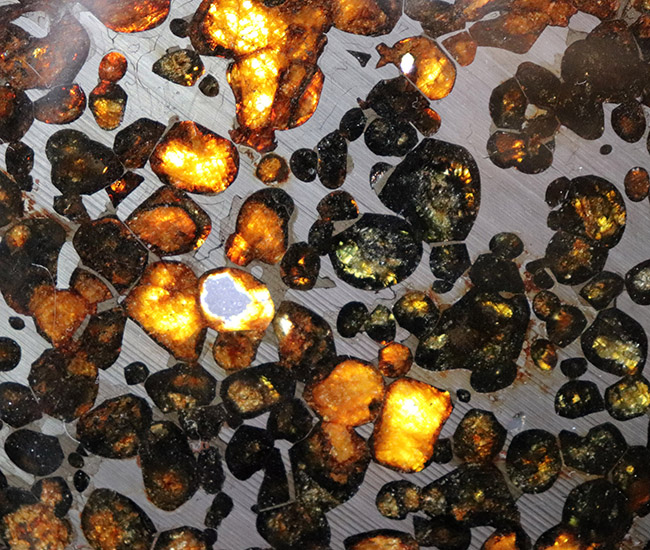 大きい、本体最大部１５センチ！最も美しい隕石の一つ、２０１６年に発見された新しいパラサイト隕石、ケニヤ産パラサイト隕石（本体防錆処理済み）（その7）