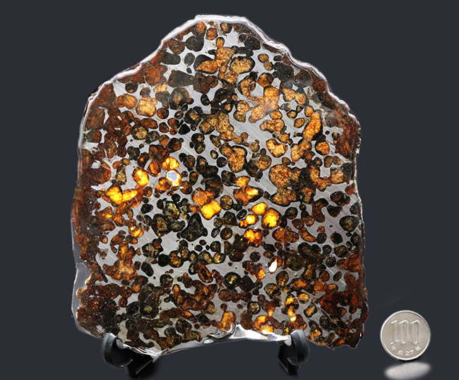 大きい、本体最大部１５センチ！最も美しい隕石の一つ、２０１６年に発見された新しいパラサイト隕石、ケニヤ産パラサイト隕石（本体防錆処理済み）（その9）