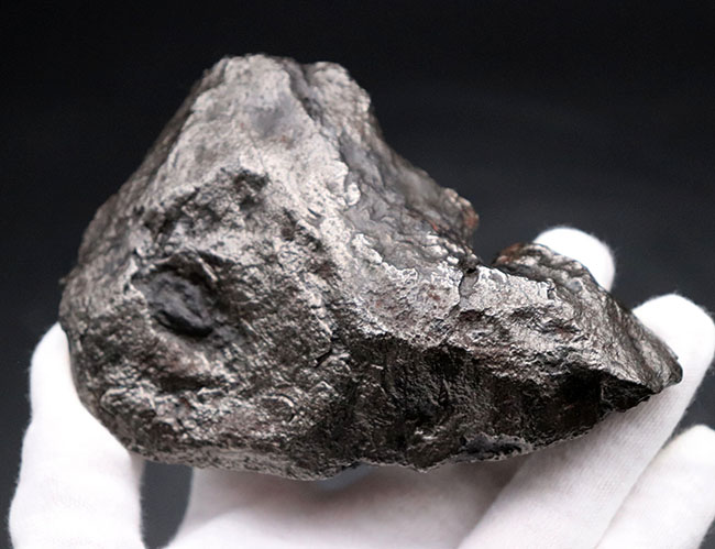 巨大、激重、８７５グラムに達する極めて巨大な個体、最も有名な鉄隕石の一つ、アルゼンチン・チャコ州に落下したカンポ・デル・シエロ（その2）