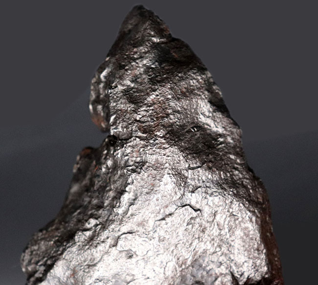 巨大、激重、８７５グラムに達する極めて巨大な個体、最も有名な鉄隕石の一つ、アルゼンチン・チャコ州に落下したカンポ・デル・シエロ（その4）