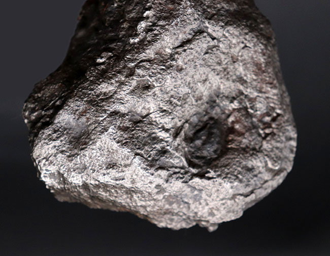 巨大、激重、８７５グラムに達する極めて巨大な個体、最も有名な鉄隕石の一つ、アルゼンチン・チャコ州に落下したカンポ・デル・シエロ（その5）