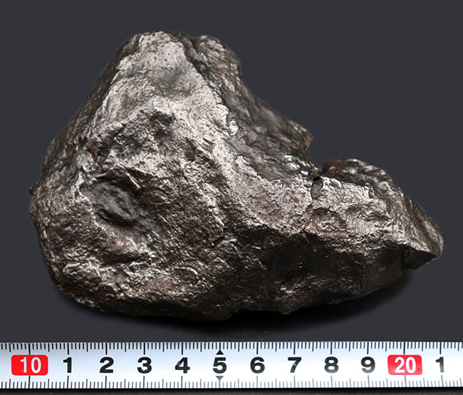 巨大、激重、８７５グラムに達する極めて巨大な個体、最も有名な鉄隕石の一つ、アルゼンチン・チャコ州に落下したカンポ・デル・シエロ（その9）