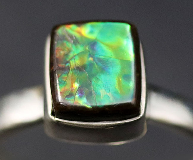 エメラルドグリーンに輝く、美しいアンモライト(Ammolite)を使ったリング。男女兼用。(その2)