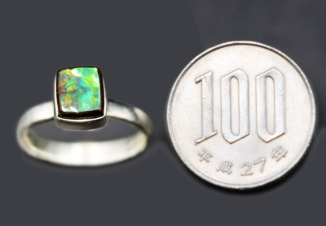 エメラルドグリーンに輝く、美しいアンモライト(Ammolite)を使ったリング。男女兼用。(その8)