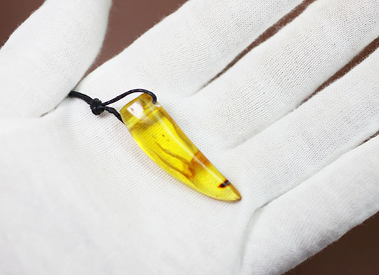 琥珀名産地バルト海から誕生した、琥珀化石のペンダント(Amber)(その3)
