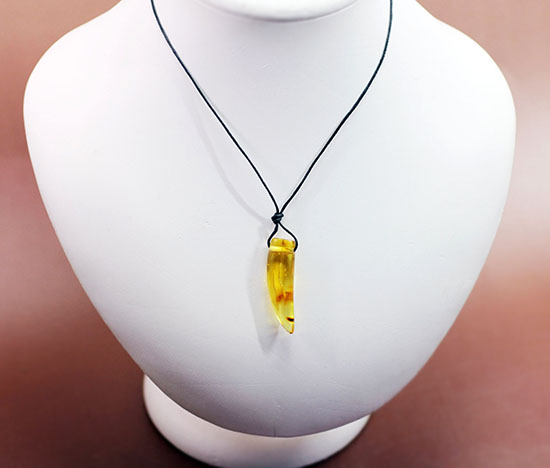 琥珀名産地バルト海から誕生した、琥珀化石のペンダント(Amber)(その7)