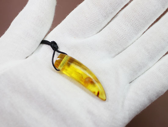 琥珀名産地バルト海から誕生した、琥珀化石のペンダント(Amber)(その8)