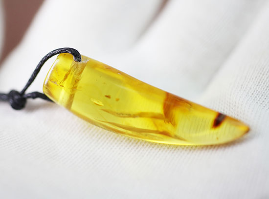 琥珀名産地バルト海から誕生した、琥珀化石のペンダント(Amber)(その9)