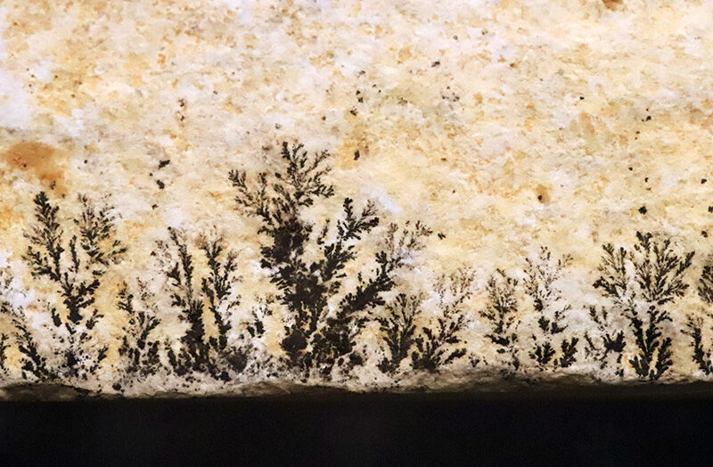 ゾルンホーフェンの極上キャンバスに映える、細密極まる樹枝状の美、デンドライト（Dendrite）（その6）