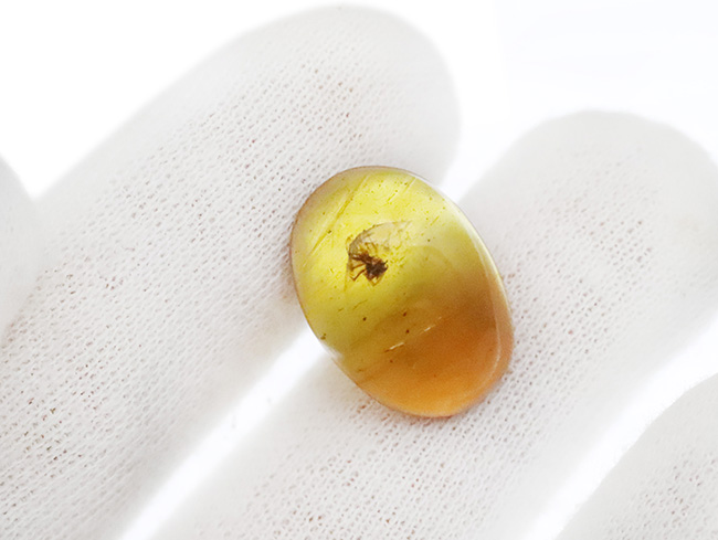 クモを内包！恐竜時代の生命を封じ込めた、世界屈指の古さを誇る琥珀「バーマイト（Burmite）」（その5）